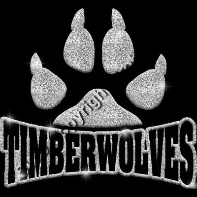 GLT32 SILVER GLITTER Thumbnail